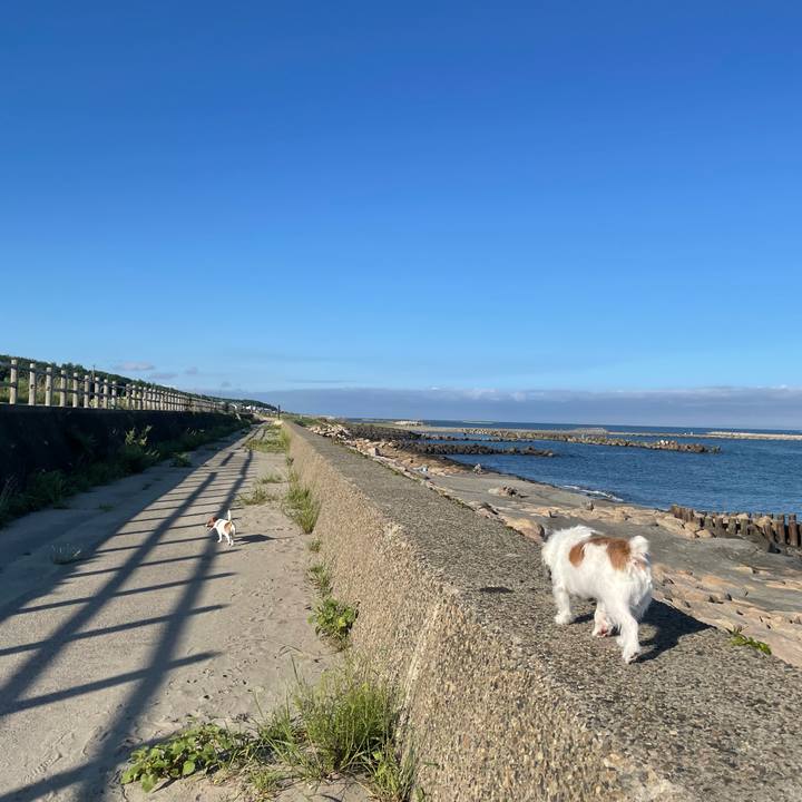 2d58a7c5 6881 4f10 add8 5d5db54df151 1662765234495