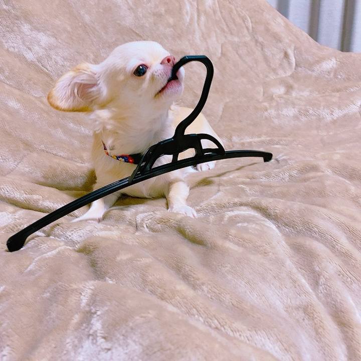 2d58a96a 61f0 4656 a020 2bf5eb4ecd35 1631095013795