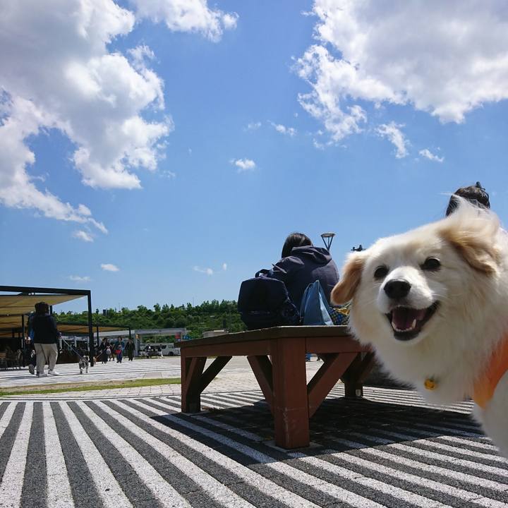 2d58b840 ea01 4c2f a0d1 b9b0b34250b7 1526038109222