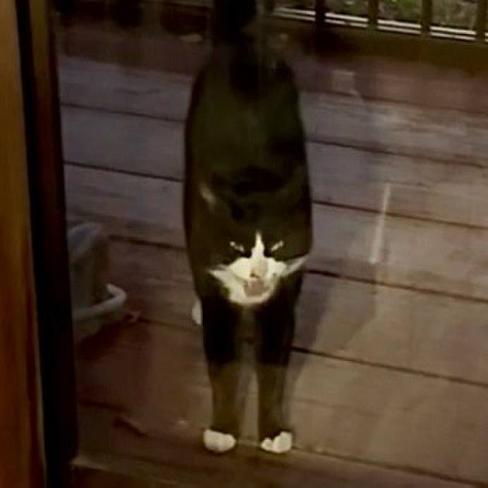 2d58d4a1 05a7 4615 b832 abb368a563f1 1764585997307