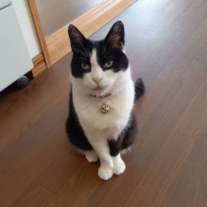 2d59057c cd49 4a86 8897 f4c019201d73 1619046216039