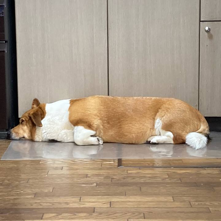 2d590881 9018 407f 8872 fcee5484d89f 1718925413913