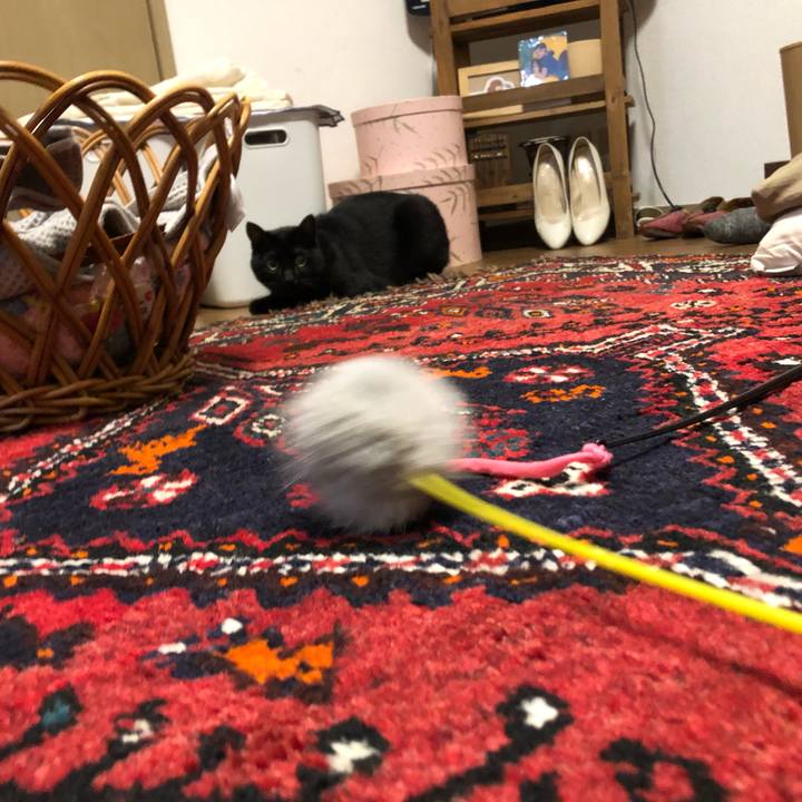 2d592740 e682 4930 aeca 708fa2d7a6a1 1603328268569