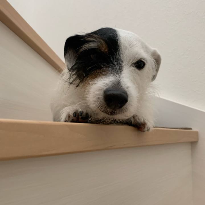 2d592cd7 60fc 4203 a9b0 8a0bbe690978 1613005515510