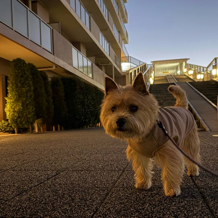 2d59358d e159 41ac 8e90 f248659e2e38 1767080742406