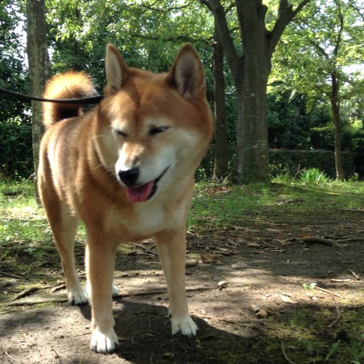 2d59495d 1bda 42e6 8bb3 5670b13e9fdf 1537245107756