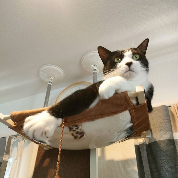 2d596426 63bc 4fae a82b 592a717a8ca2 1759206512079