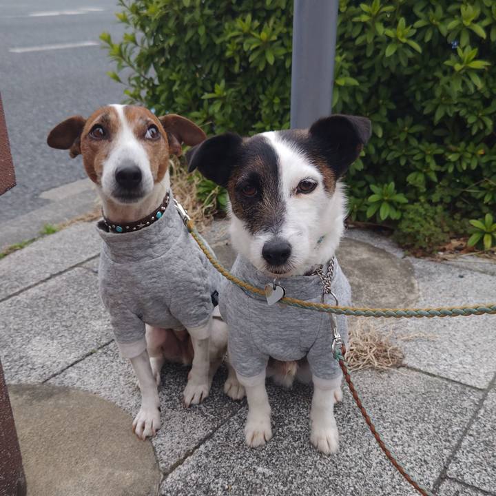 2d599e2e cd42 4c61 aba9 d385fd43b09e 1743026209473