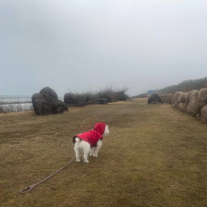 2d59a0ac 1ff1 4482 abb4 a661e09ae64c 1709509268272