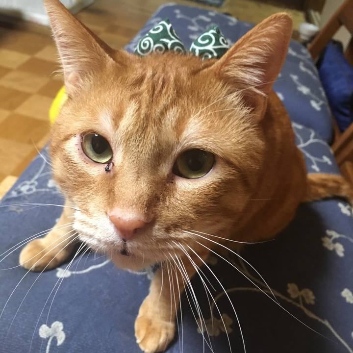 2d59b5b6 92f9 4319 a68b 6df44bddc81e 1551191543038