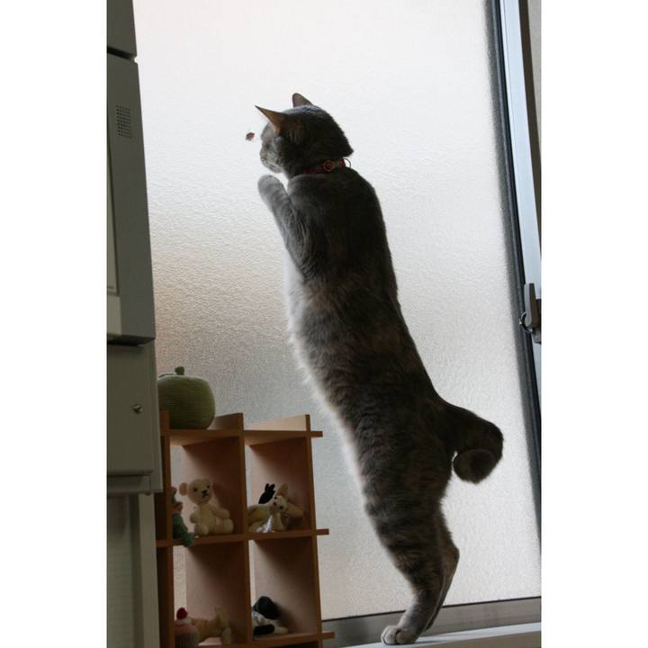 2d59bb46 ab46 42b8 9e57 b8eee4558f99 1520992557162