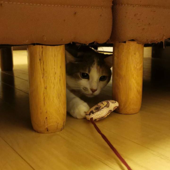 2d59f9e0 2b52 4af5 aee3 1efc07b5357e 1625041441285