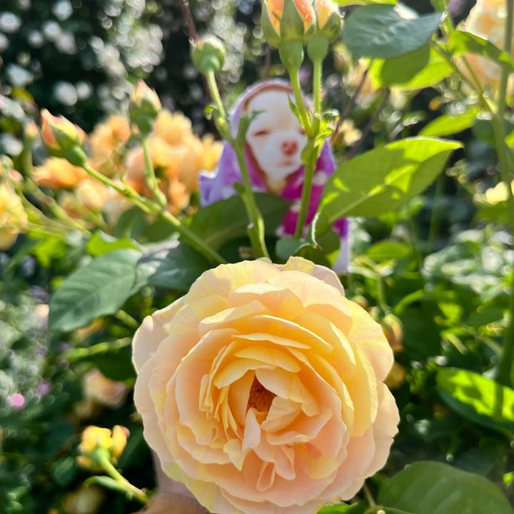 2d5a1ee4 c04d 4c2a a6f8 2c67e0209724 1653548838680