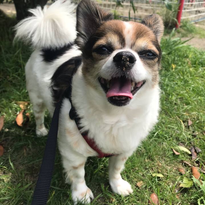 2d5a49c9 84d2 4c3f 8c42 cc5ccda1252c 1655696026060