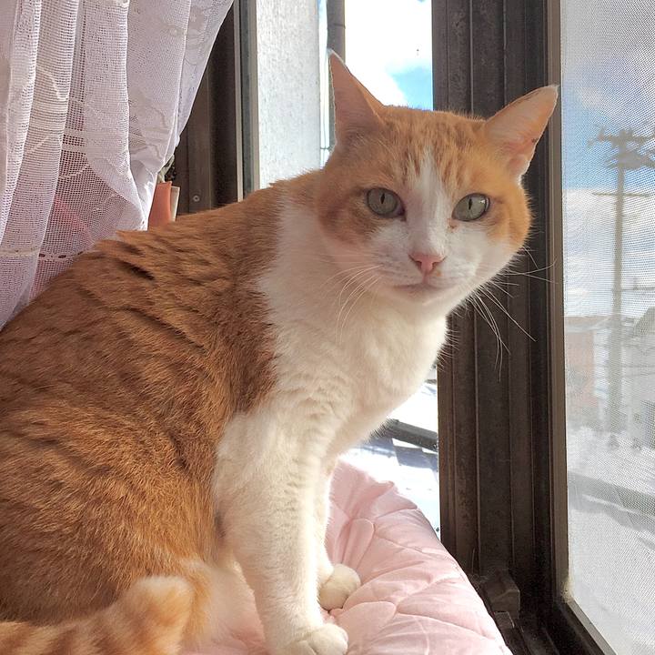 2d5abe9d daa1 4e04 8b09 c211ff6e766a 1583914055569