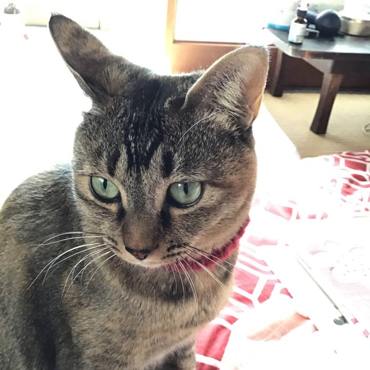 2d5ad112 e365 4a00 80d4 02a0fdaa5573 1611194243460