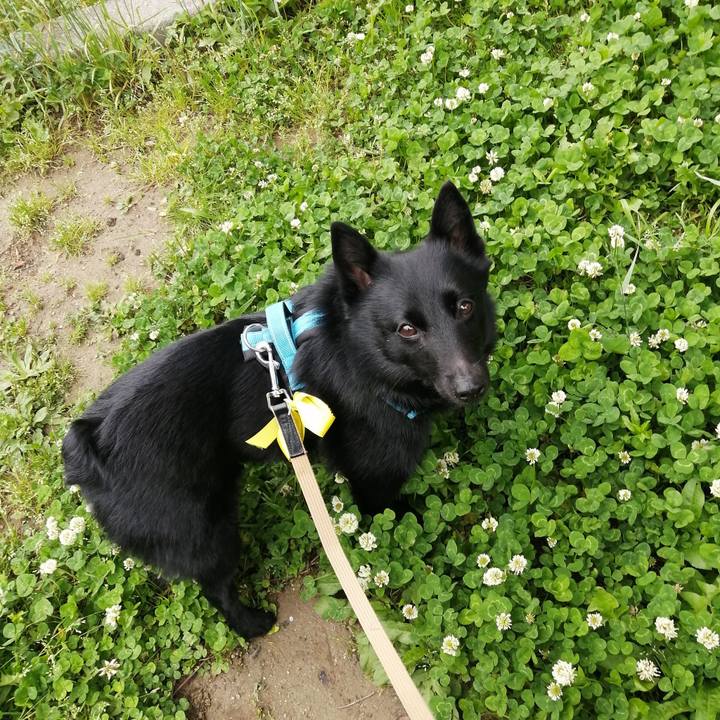 2d5ae8b8 0467 4b82 aafd 6bd49338b02b 1652649102223