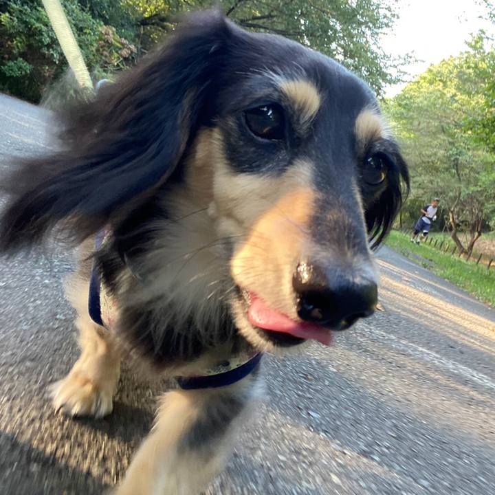 2d5b082a c1f5 467f 978a 7eeaaffb4c73 1756685521941