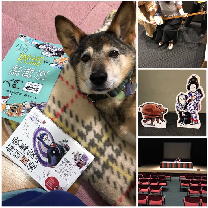 2d5b15f7 33ec 40d3 acf0 e3635f2d0db2 1535553544118