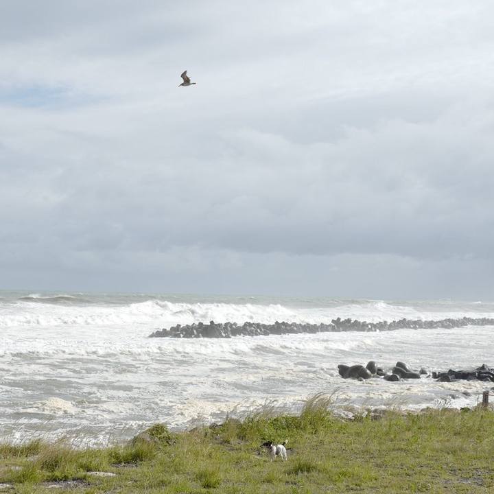 2d5b282c ddd9 4143 baa4 9aaf32a91b6d 1560745279334