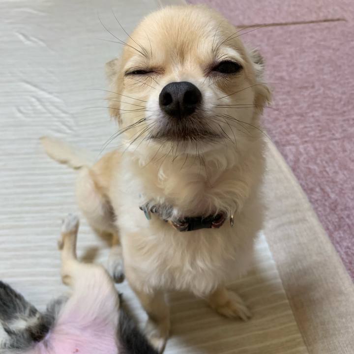 2d5b6170 0fd0 49e6 8244 d7aba7692c2a 1564868951509