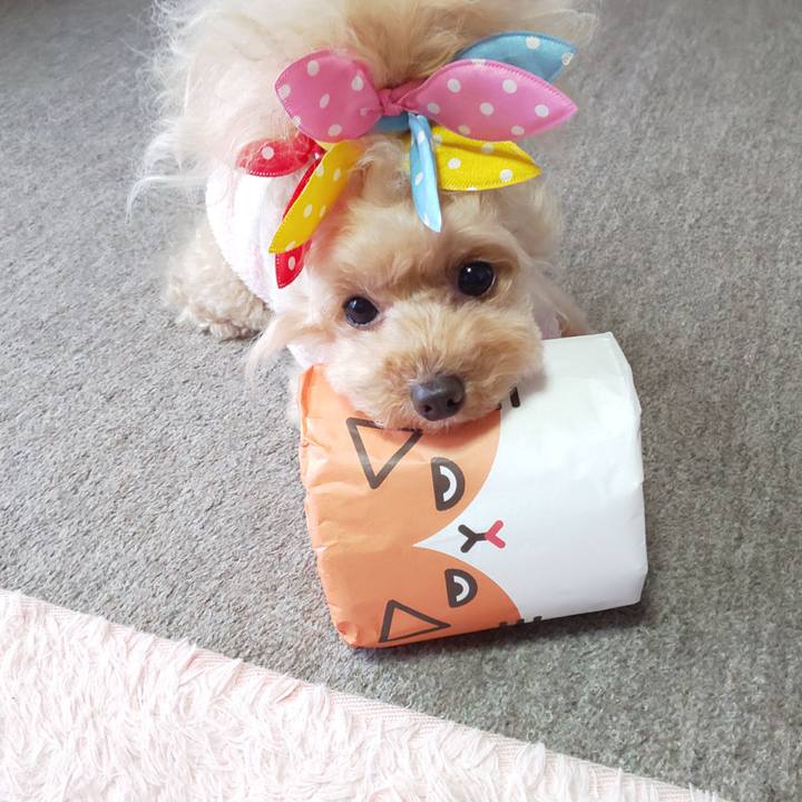 2d5b618e 2f18 416a bd0f 9937905628ce 1582793570325