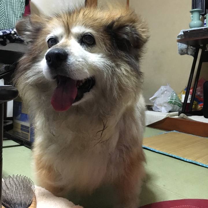 2d5b72f2 eb24 455b 8de9 d13f489743dd 1600934440538