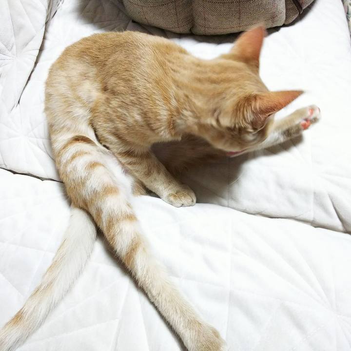 2d5c0678 f78a 4710 afa5 39f50582c5fe 1544261795923