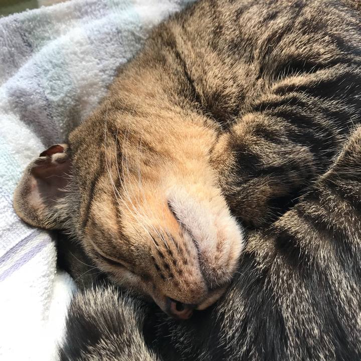 2d5c0c49 29d7 40be 9f47 b9b5da2fbb58 1524360563530