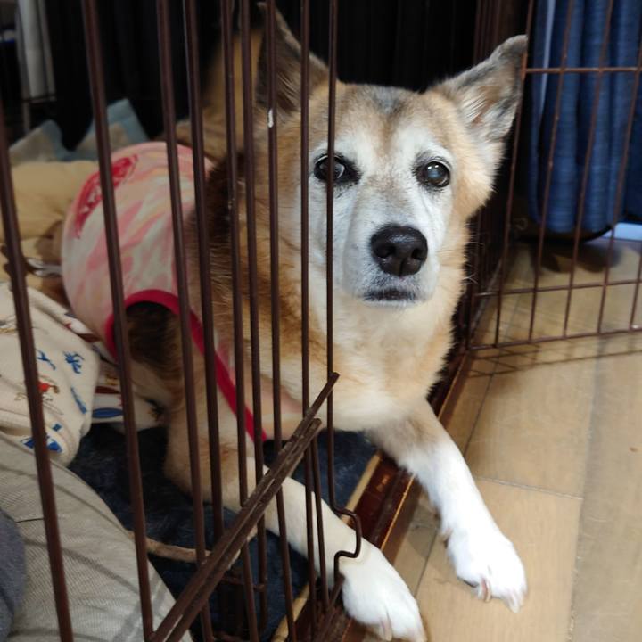 2d5c383a 2d0f 42b6 9fb3 d25933cc7a1c 1717581037951