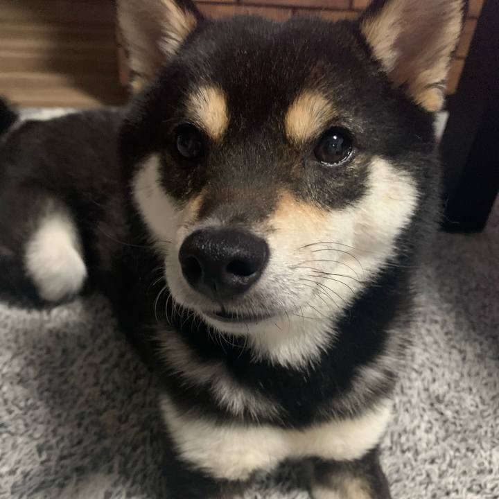 2d5c3f2d 11e3 490e 92ad d38b133d5092 1651060782947