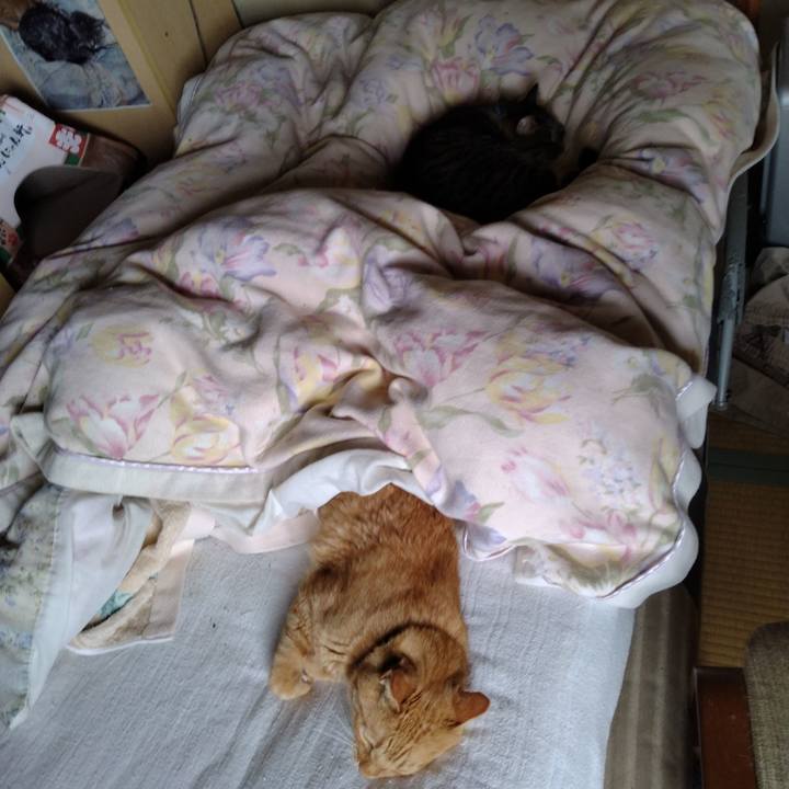 2d5c478d 37af 476b 8800 87d8d190988c 1696392883209