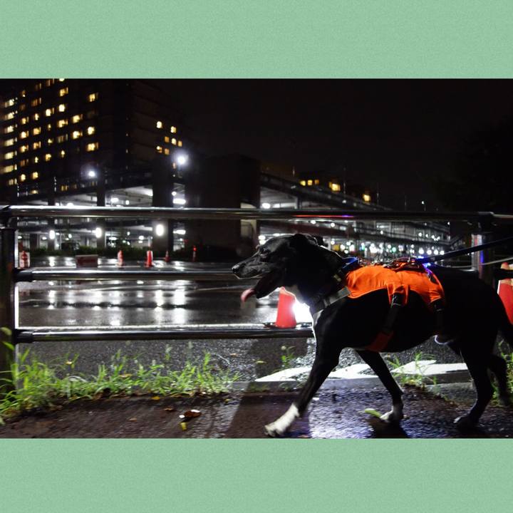 2d5c5c95 1baa 40f6 988c 3f77c45c23ef 1725101725832