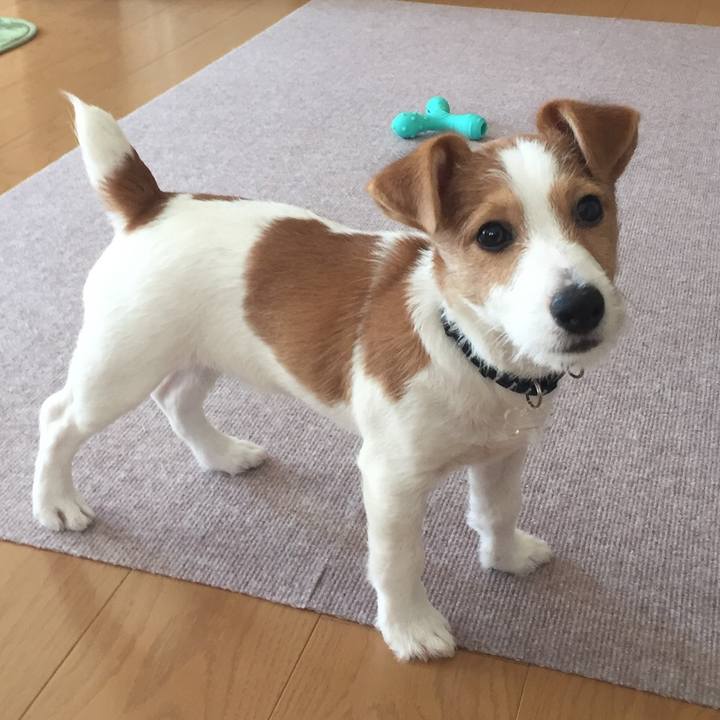 2d5c6ad5 3d6b 4578 861d b5e96756133d 1537445220641