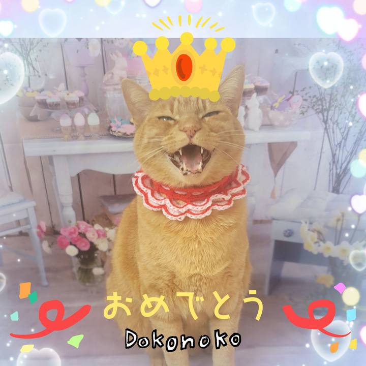 2d5c850a b61c 43b6 b3f2 7929df30fed5 1686008101981