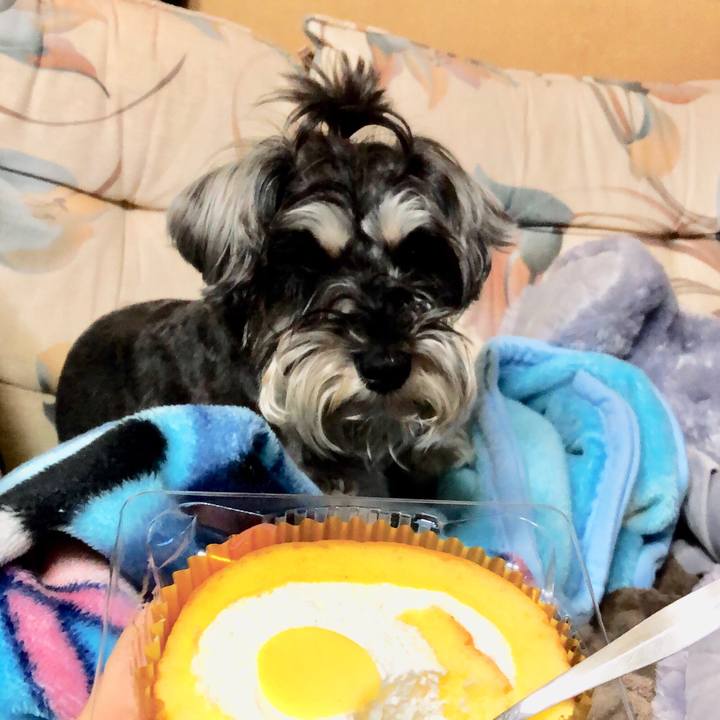 2d5c863f cb45 467b 94d3 73d2852ae19d 1524319063378