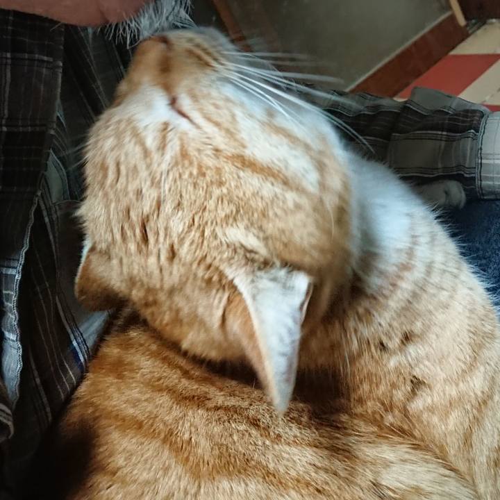 2d5c912f 87c2 479a 90ab 782dd2aeefd4 1579685738957