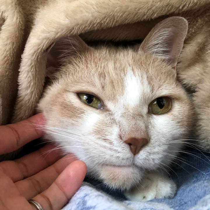 2d5c9708 30b9 44d2 ba0d 4c094f6579b2 1548214557662