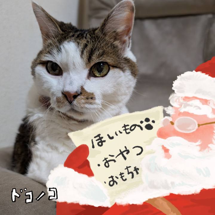 2d5ceed1 f9f0 4fc2 b099 9ef90e4391f0 1729193165952