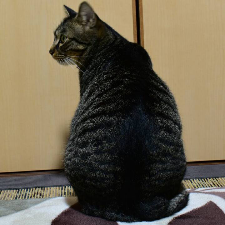 2d5d017f 1351 46c7 9484 eba3250fb3d5 1512040787523