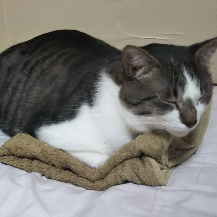 2d5d02b4 bedf 4b35 99a0 1fc2892cfa05 1602348413369