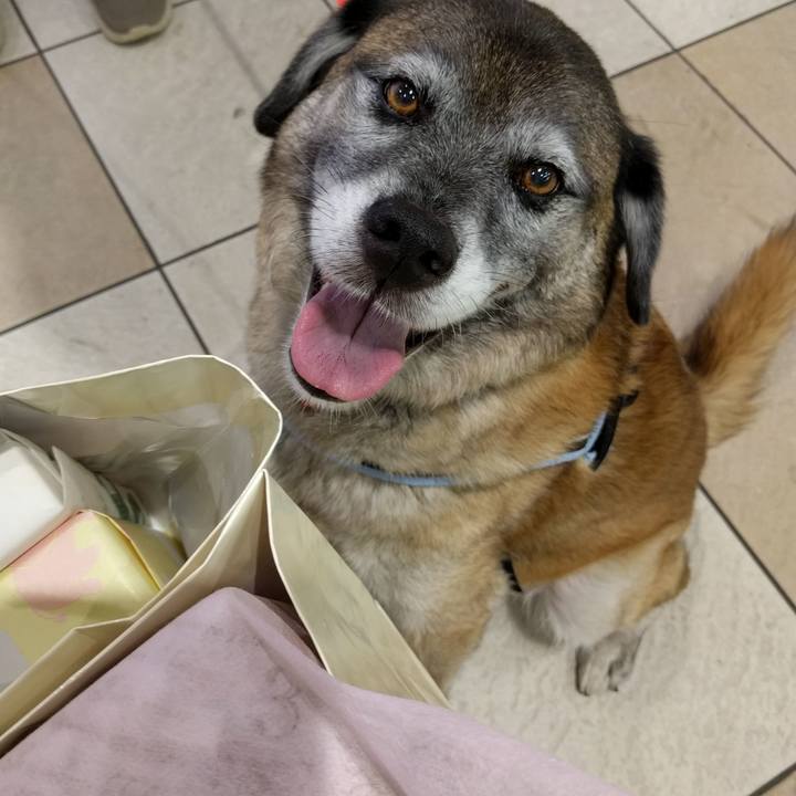 2d5d1d81 bf4a 4065 91cc fdfe2177e115 1732842189312