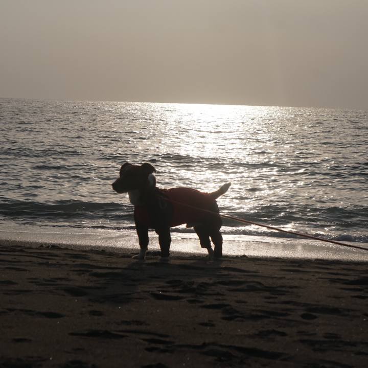 2d5d2484 755d 4a5d a66e 34516b5ab220 1546229231003