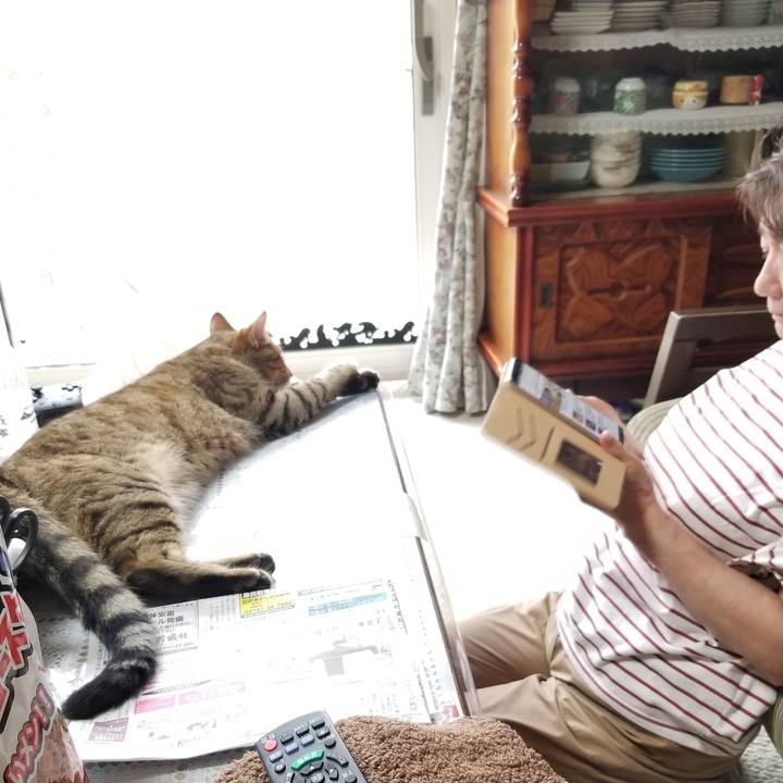 2d5d2c63 7a13 4888 a658 332d6aa526fc 1628170715060