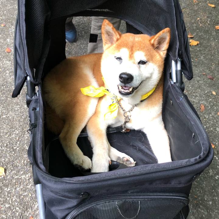 2d5d5775 cb33 4aff 9f46 f726517c522a 1569451452913