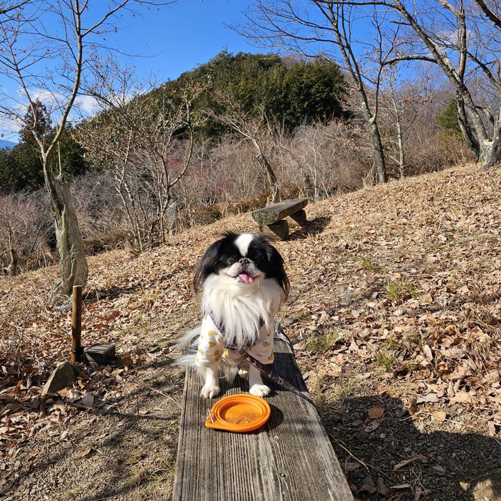 2d5d786d 6e4e 4500 b722 9823265444ad 1735632747993