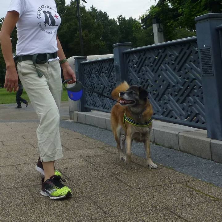 2d5d8e44 82c7 4491 8ea3 3bb99bf0db8e 1580607243161