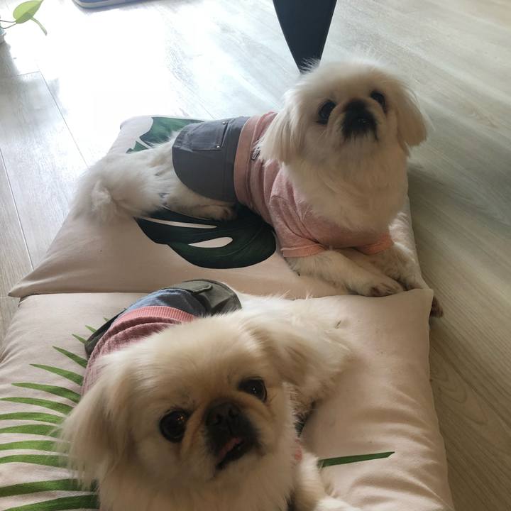 2d5d93b4 47e5 4c13 ba76 0506cf41bffc 1541991352253