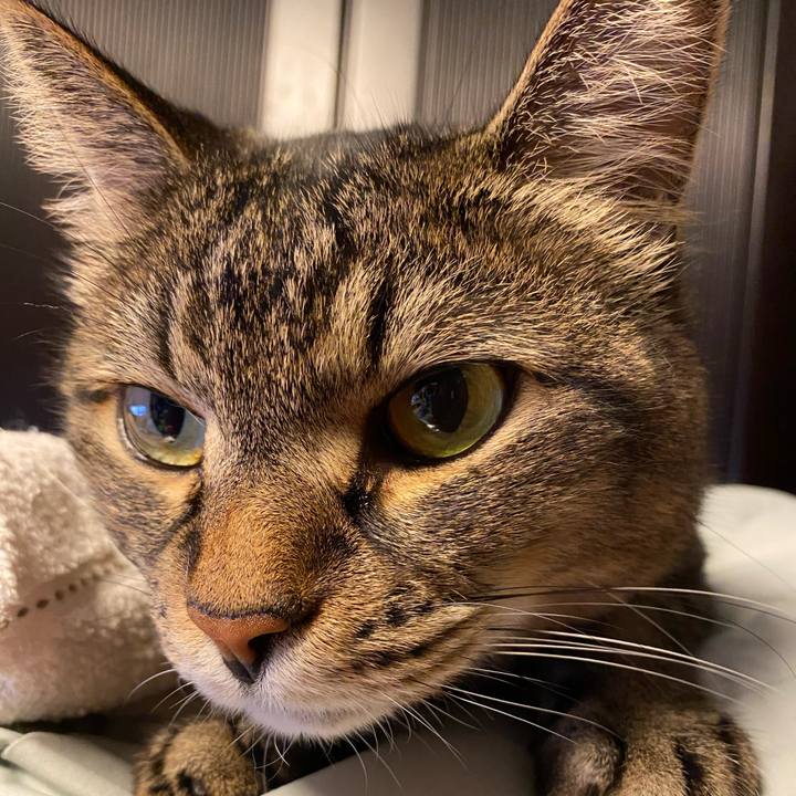 2d5dafd4 9969 4fc9 ae78 df12c342b834 1597840908129