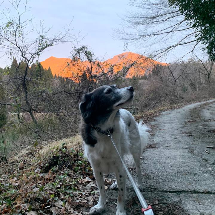 2d5dda27 8389 4835 bd09 75d71cad1d13 1578317170818